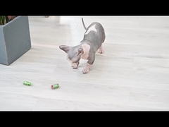 Игрушка любимца